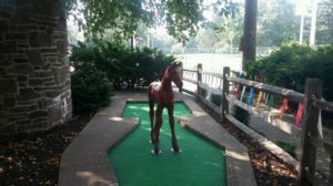 miniature golf horse